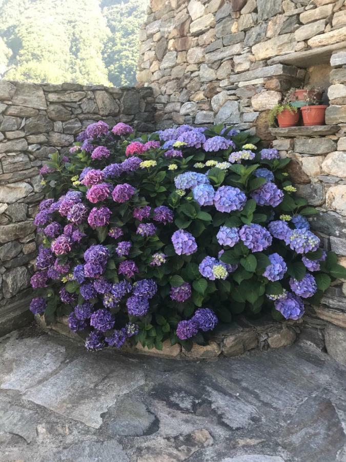 Lo Sougnet Hotel Hone Buitenkant foto